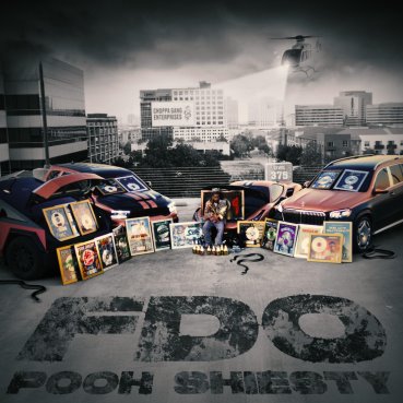 FDO Single Artwork Pooh Sheitsy